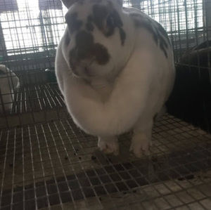 Meet your Posher, Kiersten